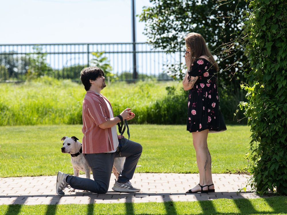 Proposal on a park lawn