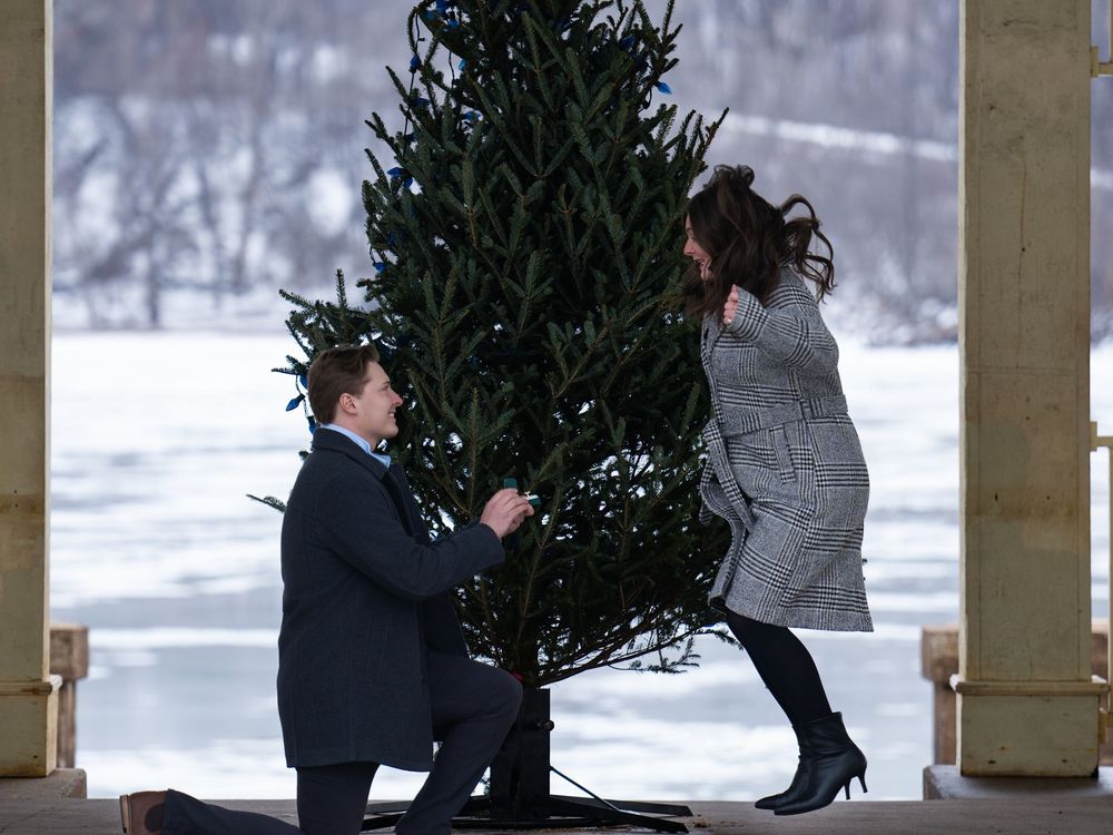 Winter proposal beside an evergreen