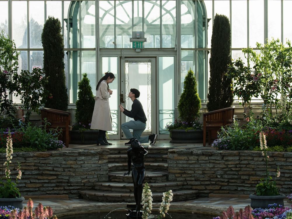 Proposal inside a glass conservatory